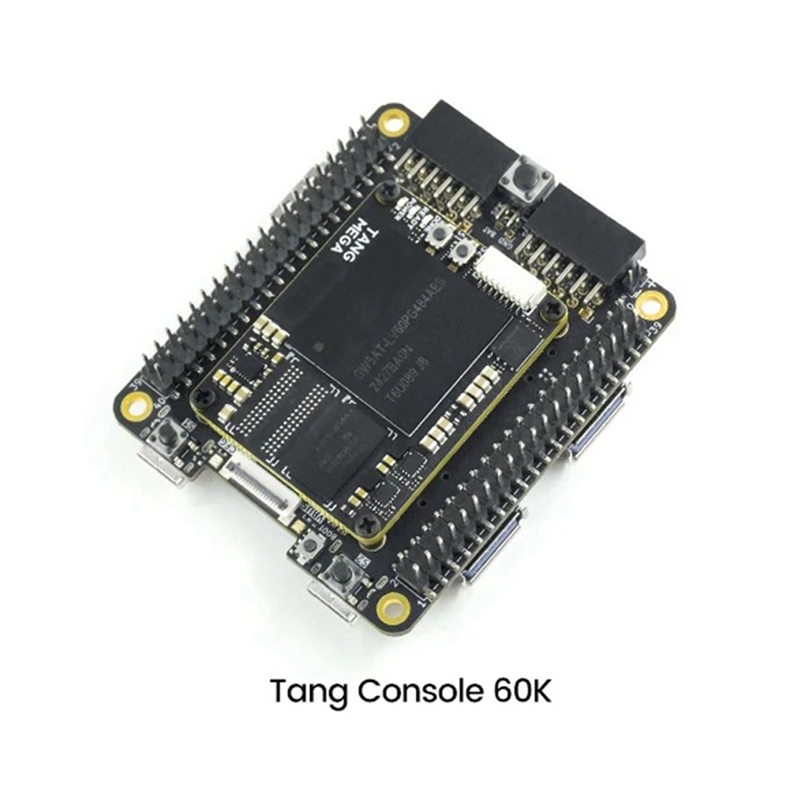 For Tang Console 60K Mini FPGA - Perfboard review and price